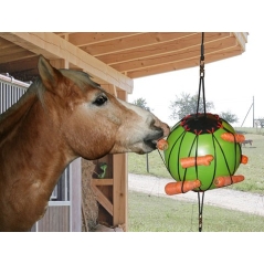 Balle à jouer pour chevaux