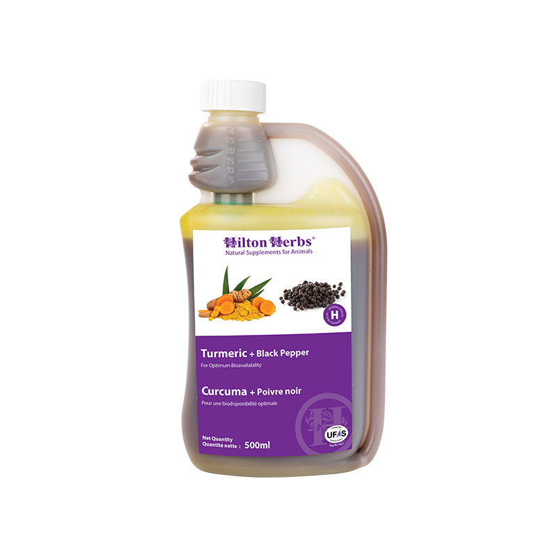 Curcuma + Poivre noir - HILTON HERBS