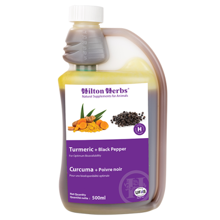 Curcuma + Poivre noir  - hilton herbs