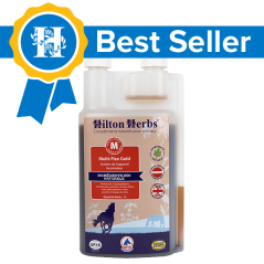 Multiflex Gold - hilton herbs