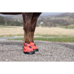 Chaussure de récupération - Equine fusion