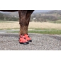 Chaussure de réhabilitation "recovery" - EQUINE FUSION