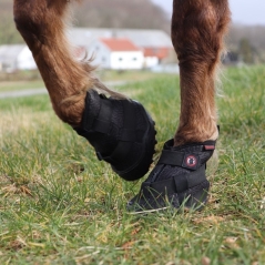 Chaussure de récupération - Equine fusion