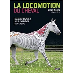 La locomotion du cheval : Un guide pratique pour entrainer son cheval