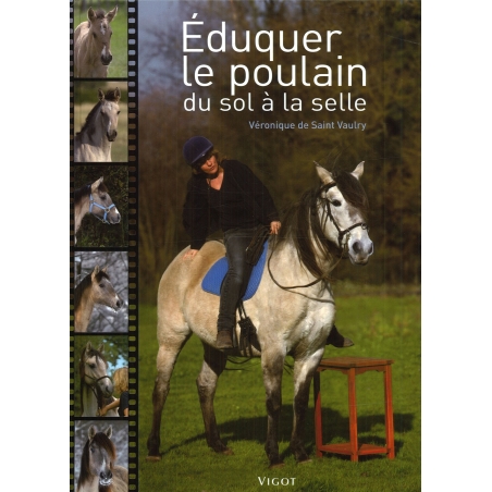 Eduquer le poulain : Du sol à la selle