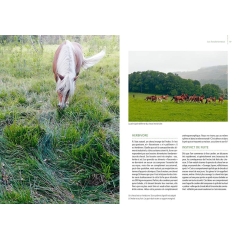 Gérer & éduquer son cheval au naturel