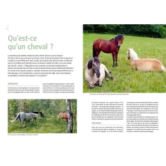 Gérer & éduquer son cheval au naturel