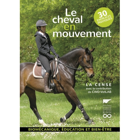 Le cheval en mouvement