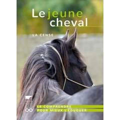 Le jeune cheval - La Cense