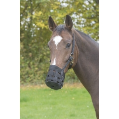 Muzzle with Head-collar