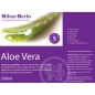 Aloe Vera - HILTON HERBS