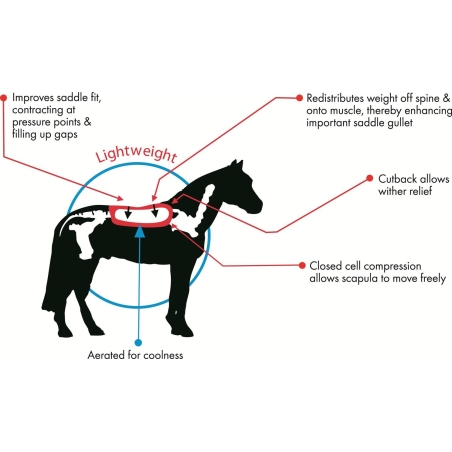 amortisseur correcteur "wedge" TSP 609 - CAVALLO