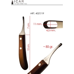 renette abcès pour véto - ICAR