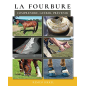 Livre "La fourbure" - remco sikkel