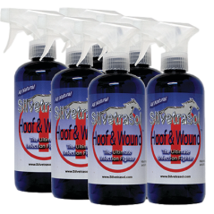 Lot de 6 silvetrassol Hoof & Wound Wash - KC LAPIERRE