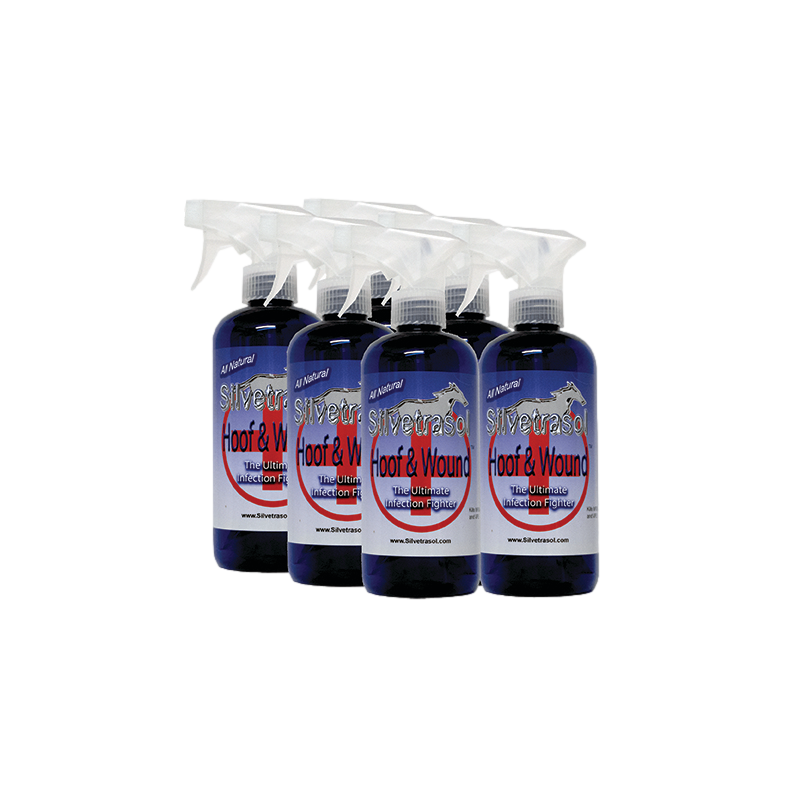 Lot de 6 silvetrasol Hoof & Wound Wash - KC LAPIERRE