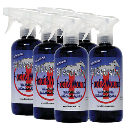 Lot de 6 silvetrassol Hoof & Wound Wash - KC LAPIERRE