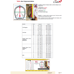 TRANSPORT AIR - cavallo