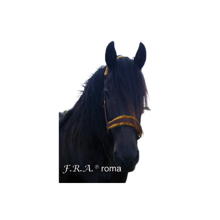 licol ROMA - F.R.A.