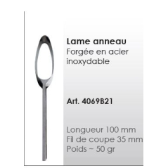 lame de rechange - anneau - ICAR