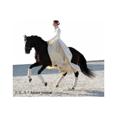 bride sans mors dressage alizee mistral  - f.r.a.