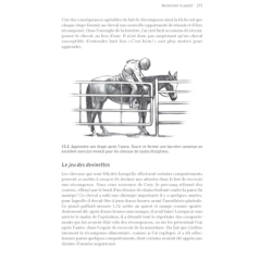 Livre: "Cerveau equin / cerveau humain, neurosciences et interactions homme-cheval" - VIGOT