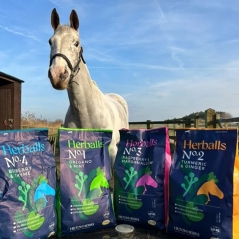 Herballs - Friandises naturelles N° 4 -Myrtille & Thym - HILTON HERBS