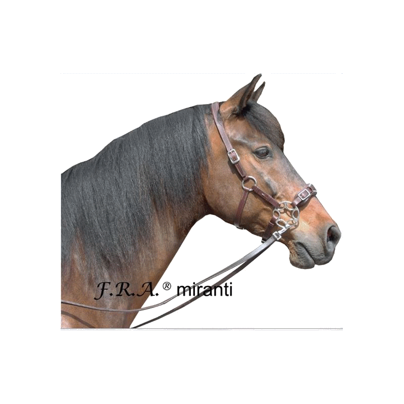 hackamore miranti - F.R.A