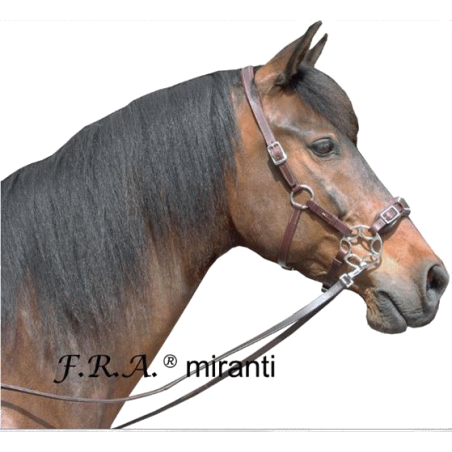 hackamore miranti - f.r.a.