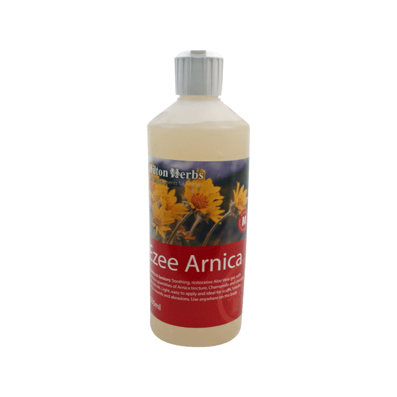 Ezee arnica - HILTON HERBS